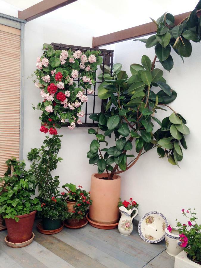 Patio San Lorenzo Cordoba Exterior photo